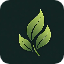 lbzeg-vue.pages.dev favicon